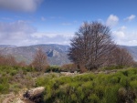 Parque Natural Regional del Haute Languedoc, Francia