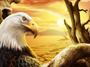 Postal: Águila en el desierto
