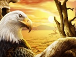 Águila en el desierto