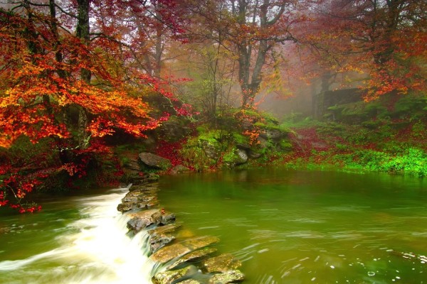 Hermoso paisaje con río