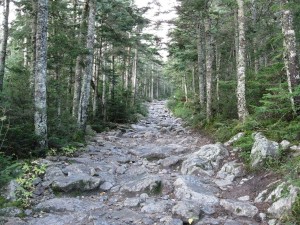 Postal: Camino del Barranco Tuckerman (New Hampshire)