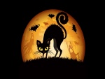 Gato negro en Halloween
