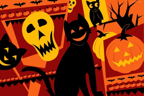 Gatos y otras criaturas en Halloween