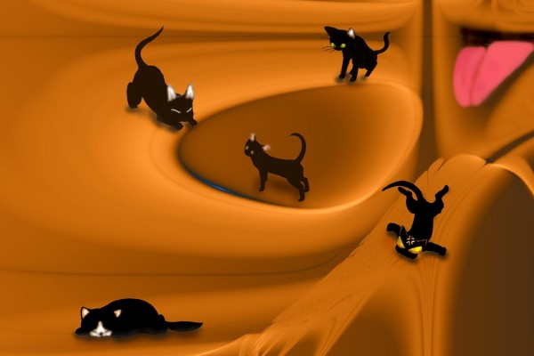 Gatitos negros