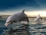 Delfines 3D