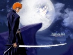 Fight to the last (Bleach)