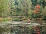 Puente sobre un estanque