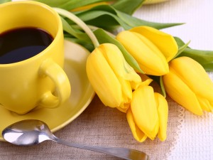 Tulipanes y una taza de café