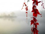Ramas con hojas rojas en un lago