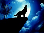 Un lobo en luna llena