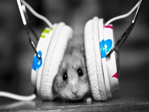 Pequeño ratón escuchando música