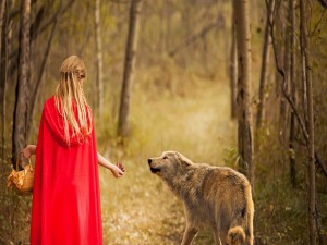 Caperucita y el lobo