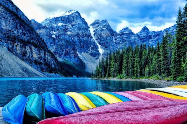 Canoas de colores en un bello entorno