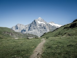 Camino hacia la montaña