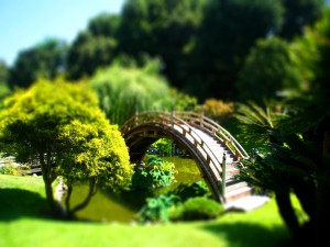 Postal: Parque en miniatura con un puente
