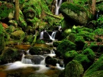 Agua entre rocas verdes