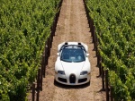 Bugatti Veyron en un viñedo