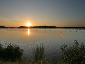 Postal: El sol iluminando la superficie del lago