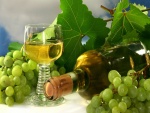Vino blanco y uvas
