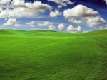 Paisaje de hierba verde y nubes en el cielo