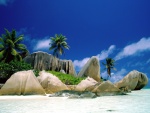 Playa con rocas y palmeras