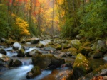 El río pedregoso en otoño