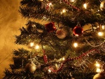 Árbol de Navidad con las luces encendidas
