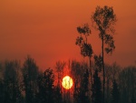 El sol en un cielo naranja