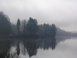 Niebla entre los árboles del lago