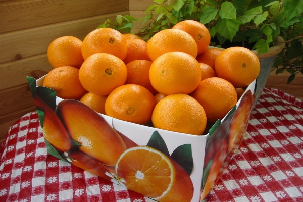 Caja con naranjas