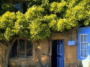 Postal: Casa con un cartel azul "Cama y Desayuno"
