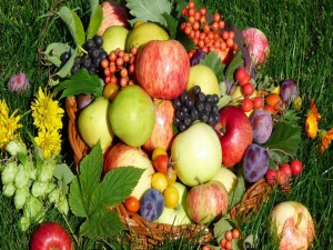 Frutas variadas en la hierba