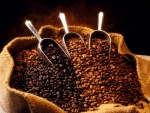 Tres variedades de café