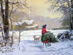 Muchacho lleva a casa el árbol para Navidad