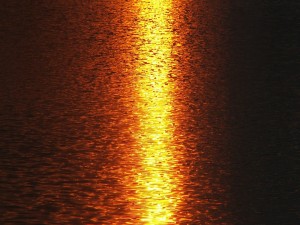 La luz solar proyectada en el agua