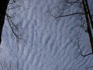 Postal: Nubes algodonosas