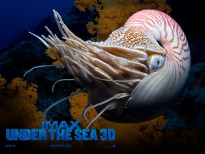 Postal: Under the sea 3D (IMAX)