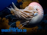 Under the sea 3D (IMAX)