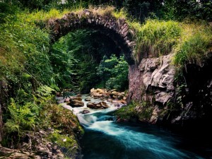 Río bajo un pequeño puente