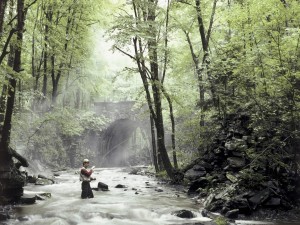 Postal: Pescador dentro del río