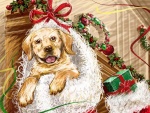 Perro en un calcetín de Navidad