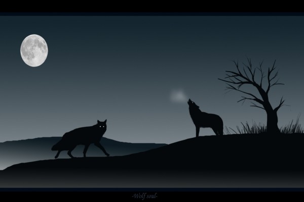 Lobos aullando a la luna en la noche oscura