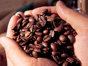 Postal: Granos de café en las manos