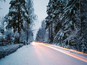 Carretera invernal