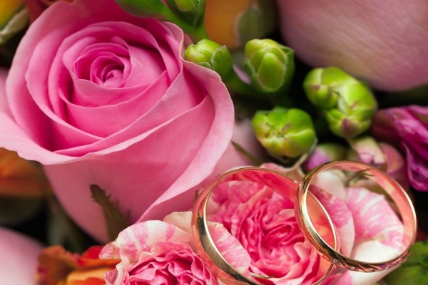 Rosas y anillos para una boda