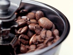 Granos de café para moler