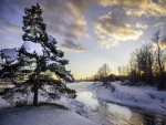 Río, árboles y nieve