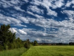Nubes en el cielo sobre el campo verde