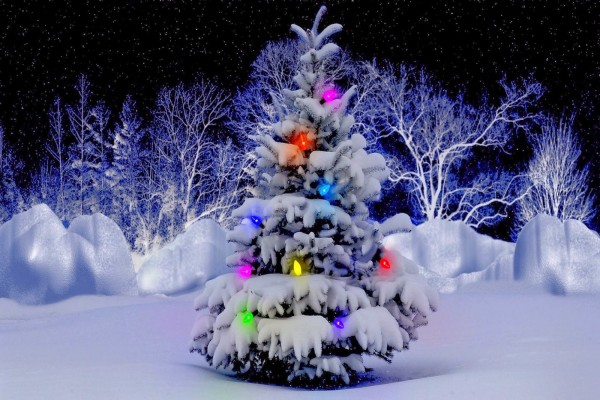 Arbolito de Navidad iluminado en la nieve