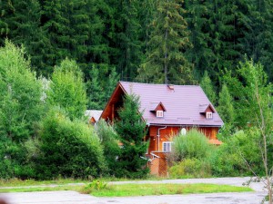 Postal: Hermosa casa entre los árboles